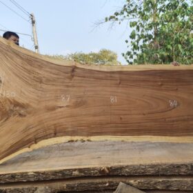 Live Edge Wood Slab