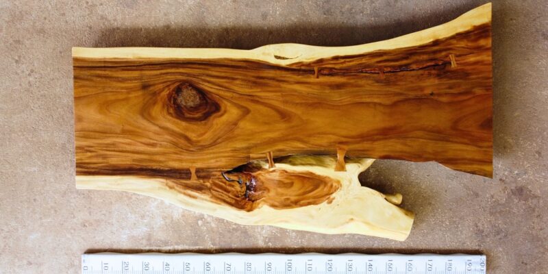 Live Edge Wood Slab 5